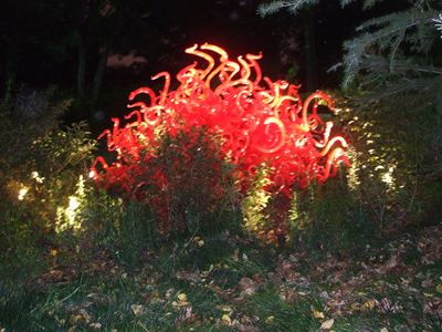 Chihuly 2012 (12).JPG